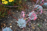 tumblr_nc6zo5OP2h1tev1afo1_1280-1024x685