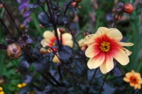 tumblr_nc6zo5OP2h1tev1afo2_1280-1024x685