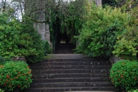 tumblr_nc6zo5OP2h1tev1afo3_1280-685x1024