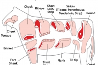 beef_sections_1