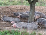 tumblr_ob7sxyS7321tev1afo4_1280