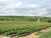 tumblr_ob7sxyS7321tev1afo5_1280