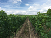 tumblr_ob7sxyS7321tev1afo6_1280