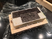 tumblr_olco6aloEN1tev1afo5_1280