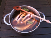 tumblr_o08b7nAHRV1tev1afo1_1280