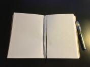 tumblr_okpk8gvj1l1tev1afo4_1280