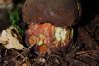 tumblr_nc6zh6M4LX1tev1afo4_1280-685x1024