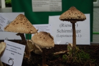 tumblr_nc6zh6M4LX1tev1afo6_1280-1024x685