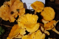 tumblr_nc6zh6M4LX1tev1afo7_1280-685x1024