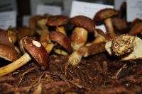 tumblr_nc6zh6M4LX1tev1afo8_1280-1024x685