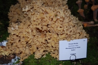 tumblr_nc6zh6M4LX1tev1afo9_1280-1024x685