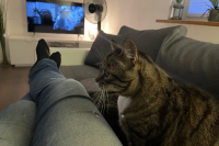 cuddled-lady-of-the-house