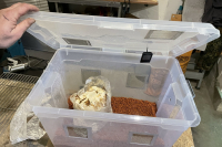 made-shroombox-