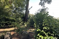 shady-garden-spot-