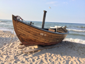 tumblr_o7q6d7r4WM1tev1afo3_1280