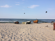 tumblr_o7q6d7r4WM1tev1afo5_1280